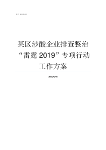 某区涉酸企业排查整治雷霆2019专项行动工作方案开展整治排查