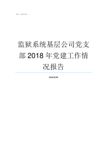 监狱系统基层公司党支部2018年党建工作情况报告监狱算基层吗