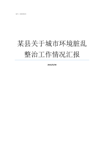 某县关于城市环境脏乱整治工作情况汇报