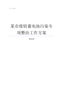 某市废铅蓄电池污染专项整治工作方案废铅蓄电池处理污染案件