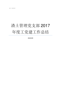 渣土管理党支部2017年度工党建工作总结