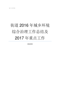 街道2016年城乡环境综合治理工作总结及2017年重点工作东环街道