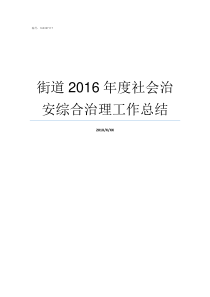 街道2016年度社会治安综合治理工作总结