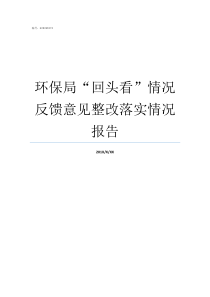 环保局回头看情况反馈意见整改落实情况报告环保局中央环保督查回头看