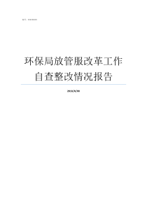 环保局放管服改革工作自查整改情况报告环保局改革后叫什么