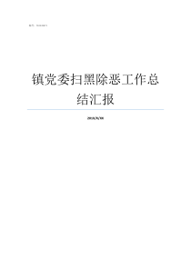 镇党委扫黑除恶工作总结汇报党委会议扫黑除恶