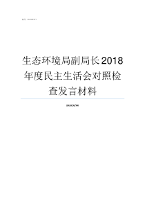 生态环境局副局长2018年度民主生活会对照检查发言材料北京生态环境局