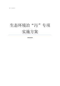 生态环境治污专项实施方案生态环境专项整治