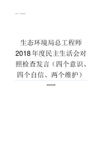 生态环境局总工程师2018年度民主生活会对照检查发言四个意识四个自信两个维护北京生态环境局