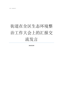 街道在全区生态环境整治工作大会上的汇报交流发言区生态环境局