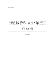 街道城管科2017年度工作总结街道城管科