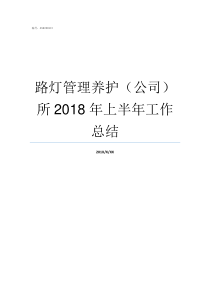 路灯管理养护公司所2018年上半年工作总结