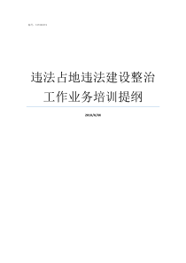 违法占地违法建设整治工作业务培训提纲