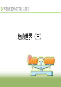 2017年苏教版五年级数学下册《数的世界》复习课件三