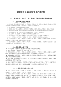 企业的安全生产责任制、规章制度和操作规程