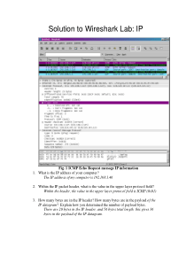 Wireshark-IP-Solution