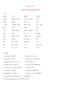 六年级下册英语-全册知识点归纳-牛津译林版