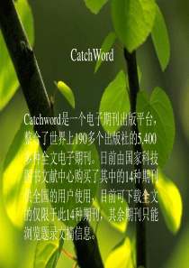 Catchword是一个电子期刊出版平台