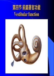 09-4-前庭器官功能