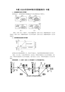 光合作用和呼吸作用图像赏析