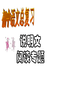 说明文阅读ppt