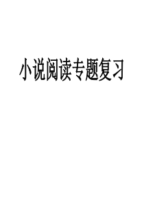 2020届中考语文一轮复习--小说阅读专题复习教学课件-(共26张PPT)