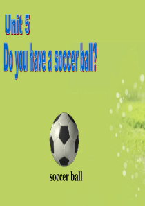 七年级英语下册《Unit5-Do-you-have-a-soccerball》课件2-人教新目标版