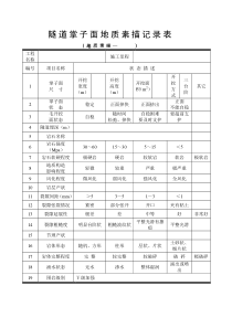 隧道掌子面地质素描记录表1