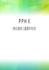 PPH简介课件