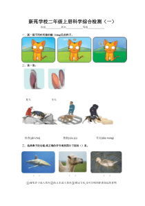 青岛版(五四制)科学二年级期中考试试题