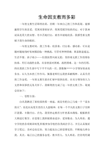 支教教师工作总结