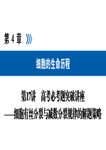 高考生物必考突破课件讲义——细胞有丝分裂与减数分裂规律的解题策略