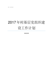 2017年村基层党组织建设工作计划党组