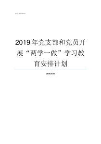 2019年党支部和党员开展两学一做学习教育安排计划2019年党的大事