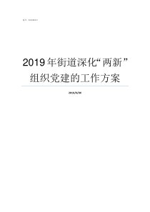 2019年街道深化两新组织党建的工作方案2019年是深化改革之年