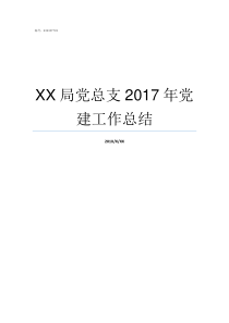 XX局党总支2017年党建工作总结69XX2017