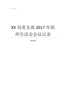 XX局党支部2017年组织生活会会议记录69XX2017