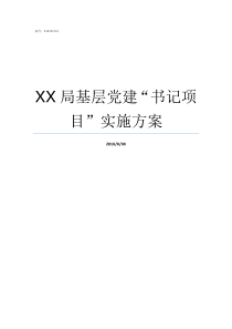 XX局基层党建书记项目实施方案书记讲基层党建