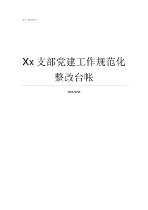 Xx支部党建工作规范化整改台帐支部党建工作总结