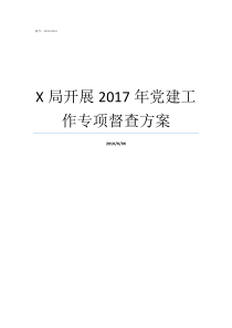 X局开展2017年党建工作专项督查方案