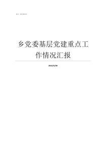 乡党委基层党建重点工作情况汇报基层党建重点工作