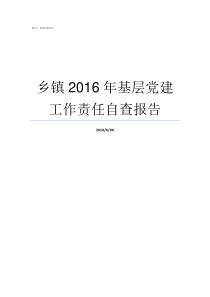 乡镇2016年基层党建工作责任自查报告