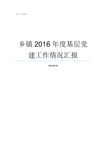 乡镇2016年度基层党建工作情况汇报乡镇基层工作