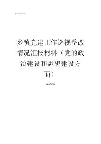 乡镇党建工作巡视整改情况汇报材料党的政治建设和思想建设方面