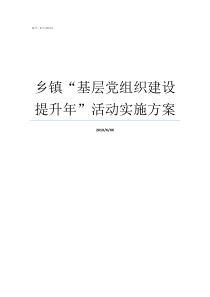 乡镇基层党组织建设提升年活动实施方案