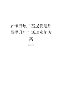 乡镇开展基层党建质量提升年活动实施方案如何提升基层党建质量