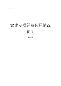 党建专项经费使用情况说明党建经费情况说明