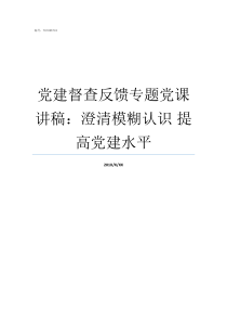 党建督查反馈专题党课讲稿澄清模糊认识nbsp提高党建水平上党课