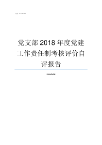 党支部2018年度党建工作责任制考核评价自评报告总结2018年度党支部的工作