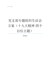 党支部专题组织生活会方案十九大精神nbsp四个自信主题